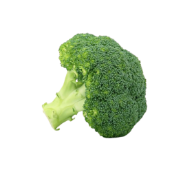 BROCOLI