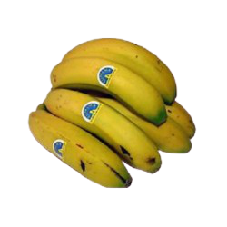PLÁTANOS CANARIOS