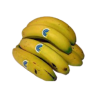 PLÁTANOS CANARIOS