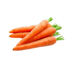 ZANAHORIA