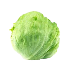 LECHUGA ICEBERG