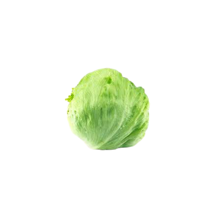 LECHUGA ICEBERG