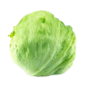 LECHUGA ICEBERG