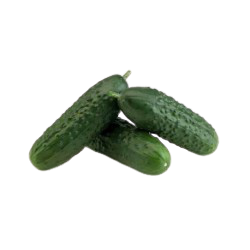 PEPINOS