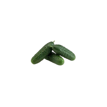 PEPINOS