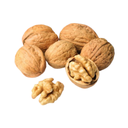 NUECES