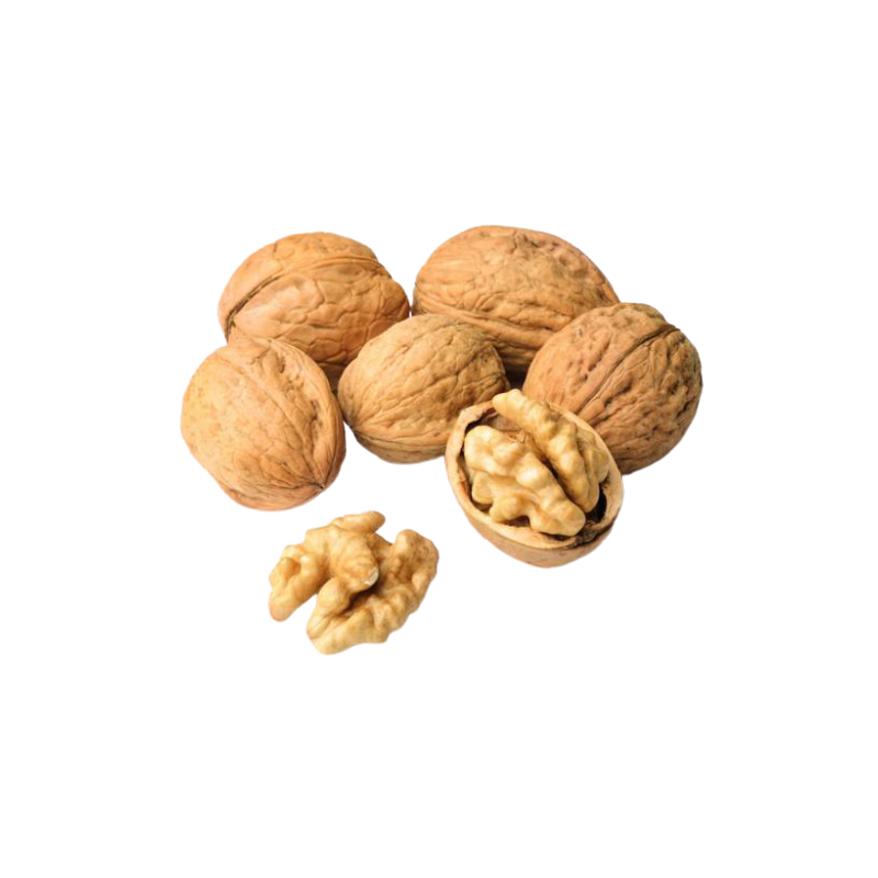 NUECES NUECES