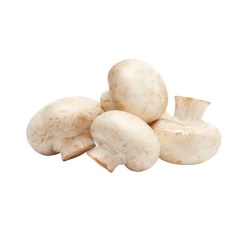 CHAMPIÑONES