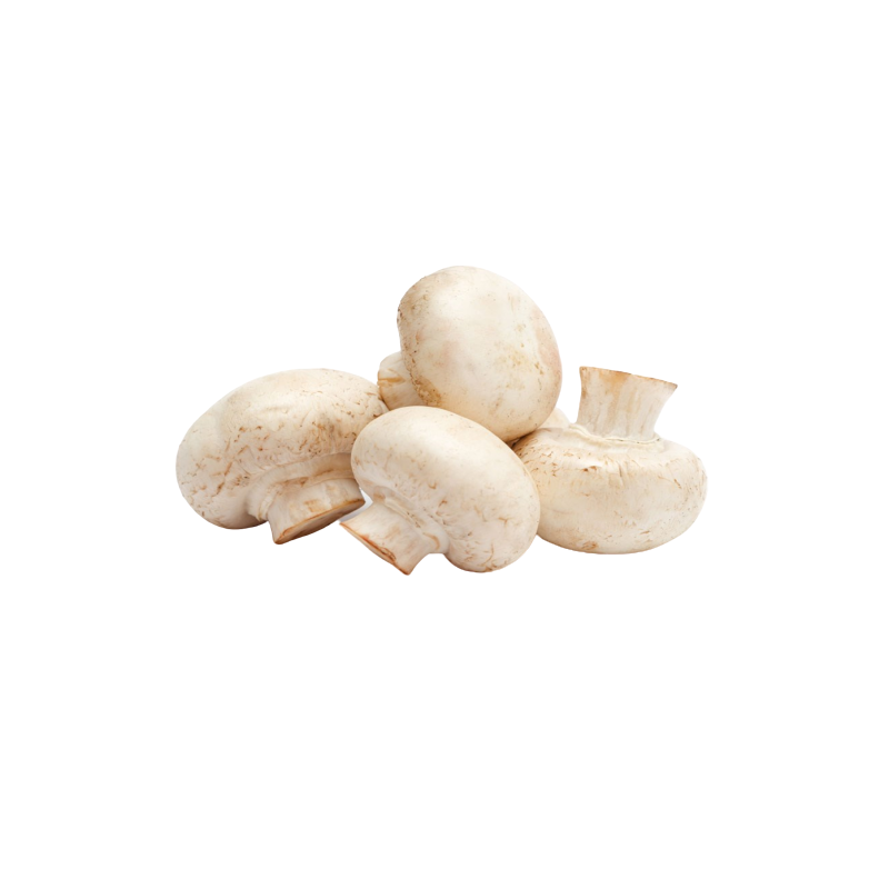 CHAMPIÑONES CHAMPIÑONES