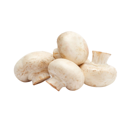 CHAMPIÑONES