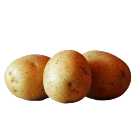 PATATA