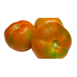 TOMATE ENSALADA