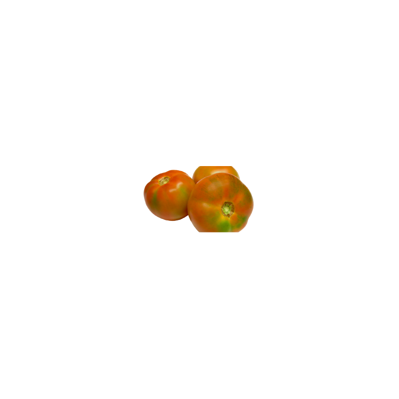 TOMATE ENSALADA TOMATE ENSALADA