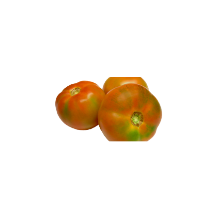 TOMATE ENSALADA