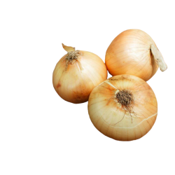 CEBOLLAS