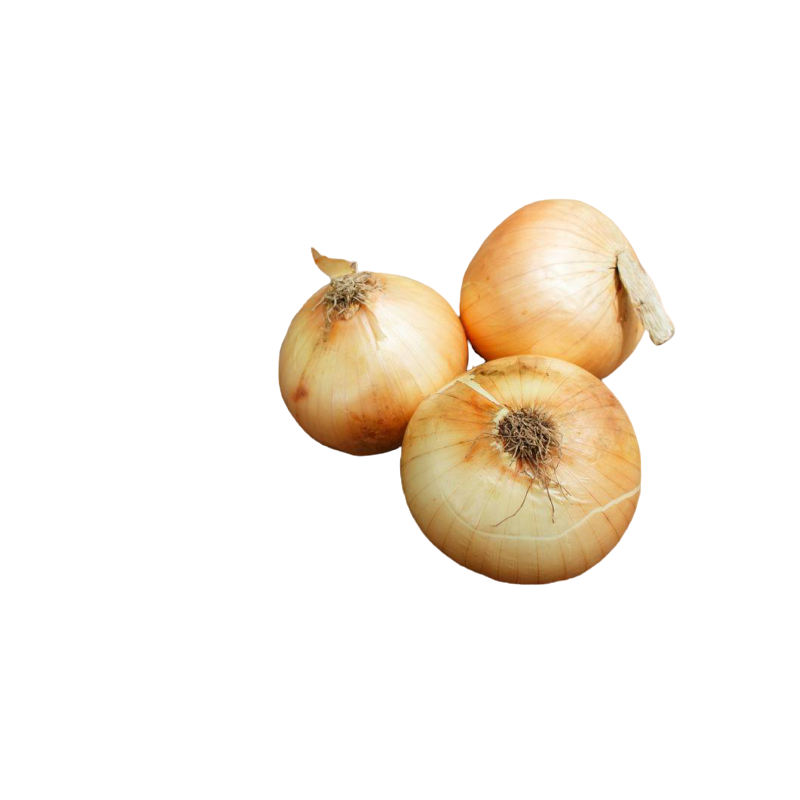CEBOLLAS CEBOLLAS