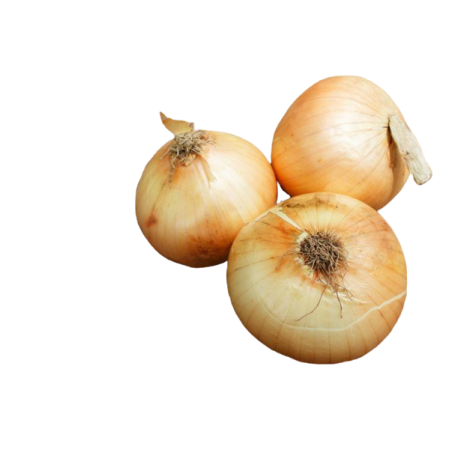 CEBOLLAS