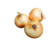 CEBOLLAS