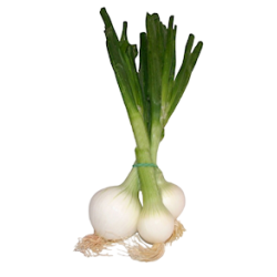 CEBOLLETAS