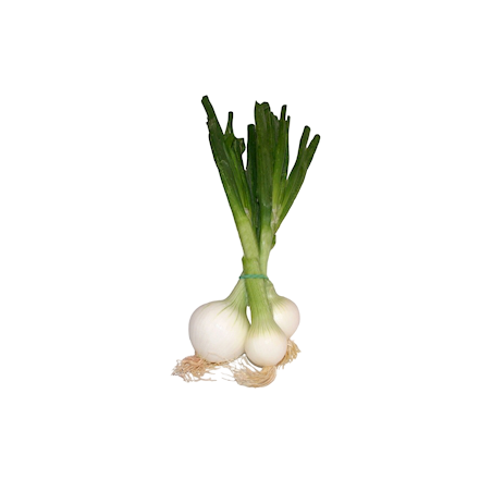 CEBOLLETAS