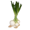 CEBOLLETAS