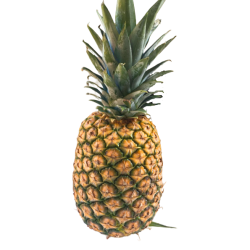 PIÑA