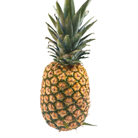PIÑA