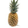 PIÑA