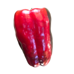 PIMIENTOS ROJOS