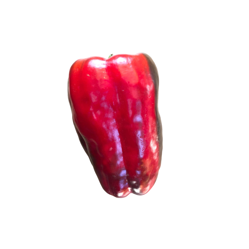 PIMIENTOS ROJOS PIMIENTOS ROJOS