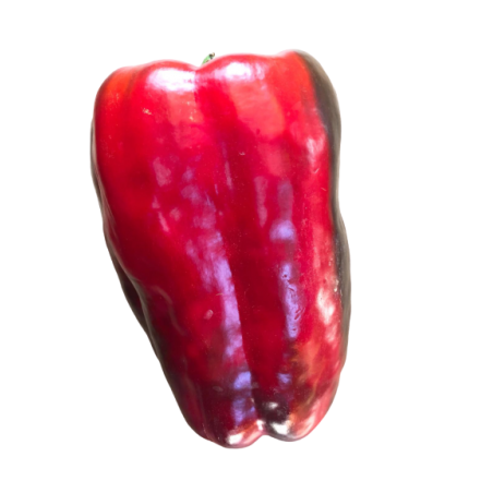 PIMIENTOS ROJOS