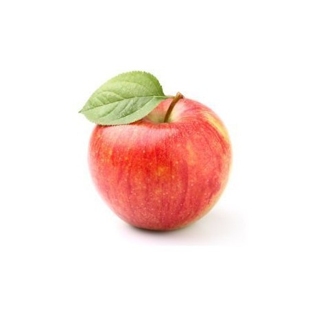 MANZANA ROYAL GALA