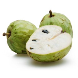 CHIRIMOYA