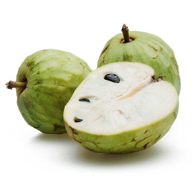 CHIRIMOYA CHIRIMOYA