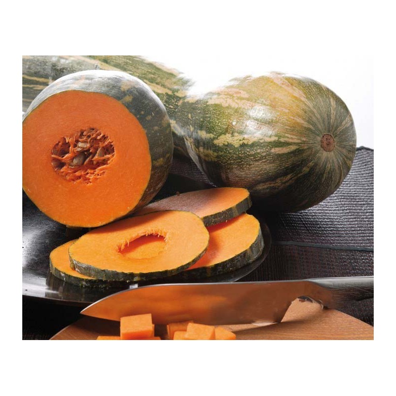 CALABAZA CALABAZA