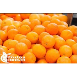 OFERTA 5 KILOS DE NARANJAS PARA ZUMO