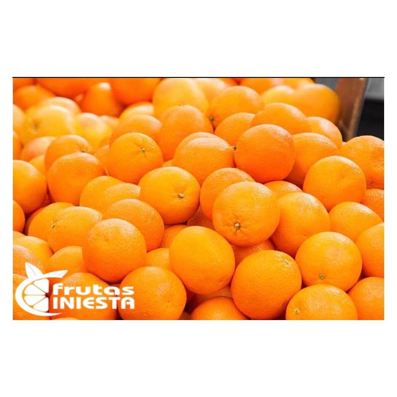 OFERTA 5 KILOS DE NARANJAS PARA ZUMO OFERTA 5 KILOS DE NARANJAS PARA ZUMO
