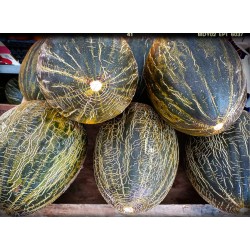 MELÓN
