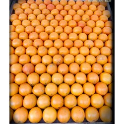 OFERTA 4 KILOS NARANJAS DE MESA