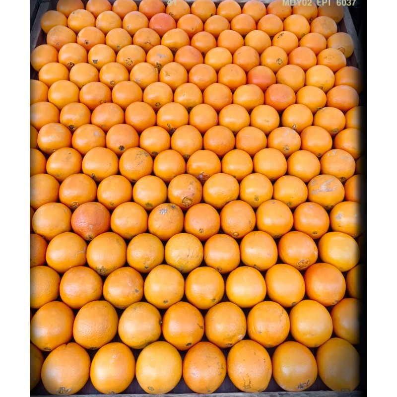 OFERTA 4 KILOS NARANJAS DE MESA OFERTA 4 KILOS NARANJAS DE MESA