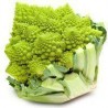 ROMANESCU