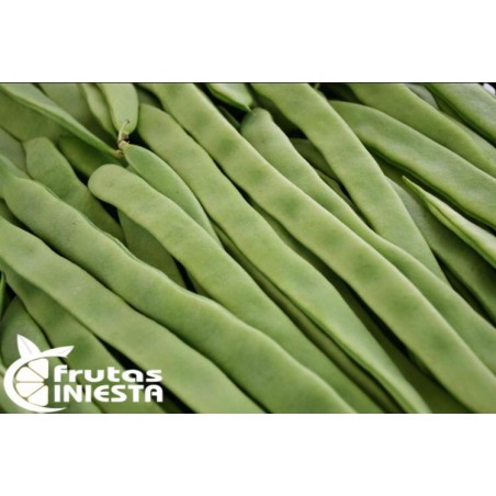 JUDIA VERDE
